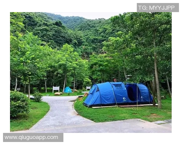 深圳攀岩队聚焦意识提升与团队精神的探索之旅 深圳攀岩队聚焦意识提升与团队精神的探索之旅