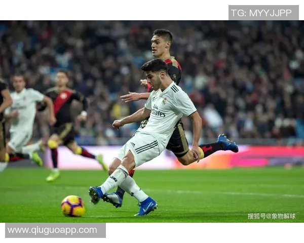 皇家马德里上赛季欧冠表现全解析 皇家马德里上赛季欧冠表现全解析