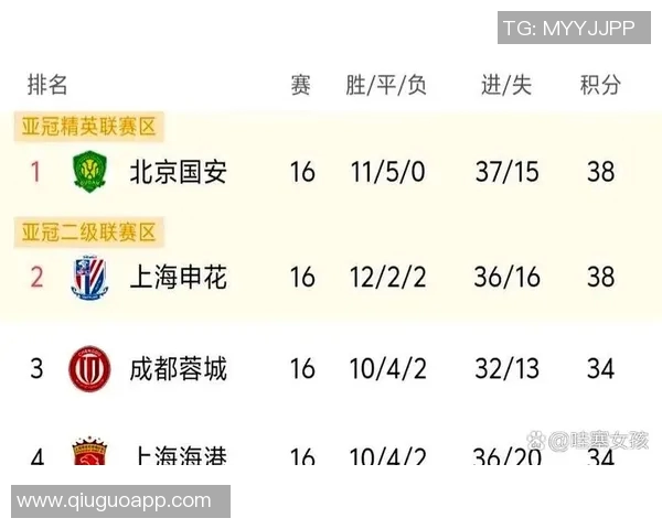 北京排球队在洲际杯积分榜上以55分稳居第一名展现强劲实力